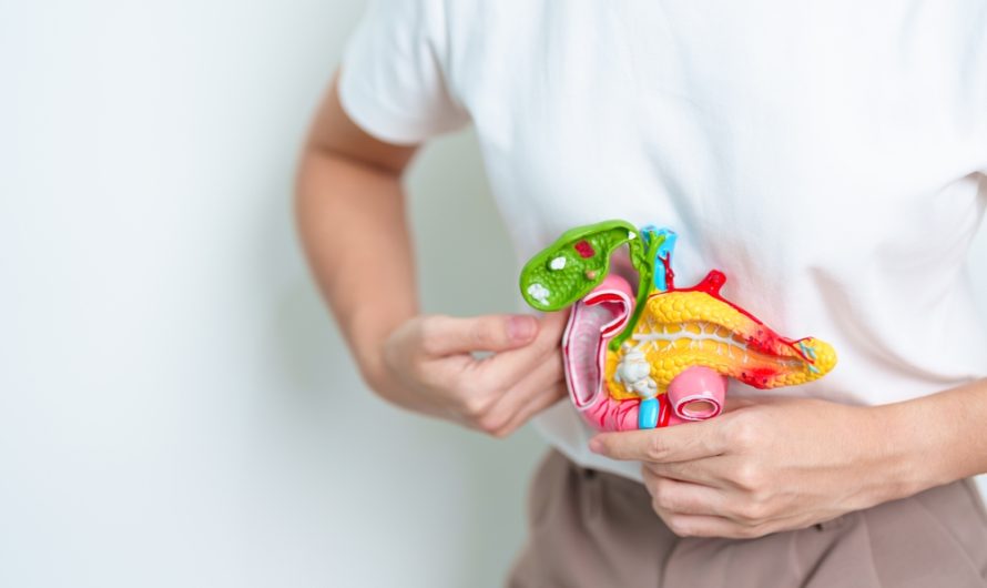 How to Naturally Support Liver Health in Your 50s, 60s, and Beyond